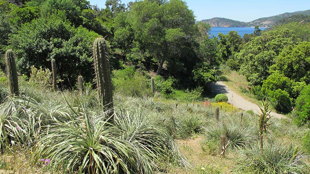 Le Domaine du Rayol, Jardin du Chili© Domaine du Rayol 