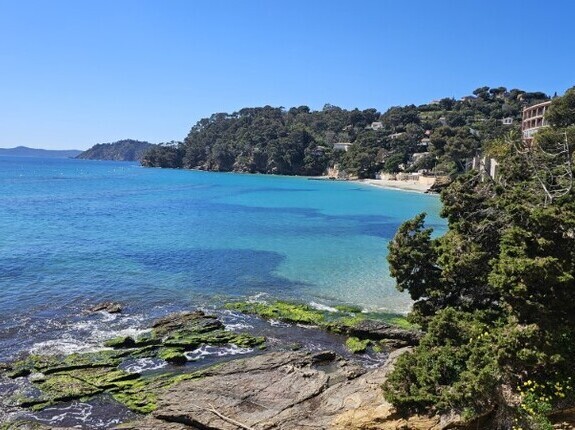 Rouverture des plages