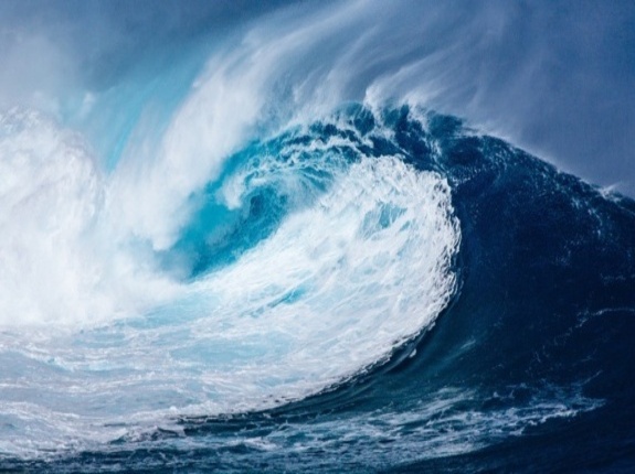 Exercice Tsunami - Mardi 10 juin - 10h30