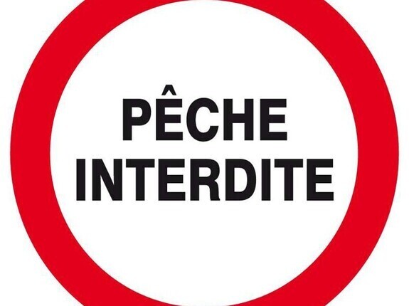 LA PCHE AU POULPE EST STRICTEMENT INTERDITE 