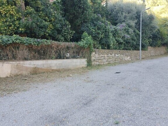 Parking Canadlia : un grand nettoyage ralis !