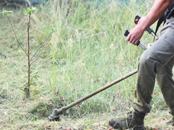 Travaux de d�broussaillement en cours