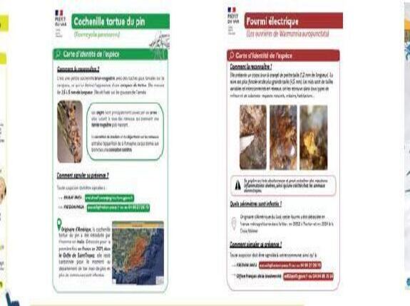La bataille contre les espèces exotiques envahissantes est lancée